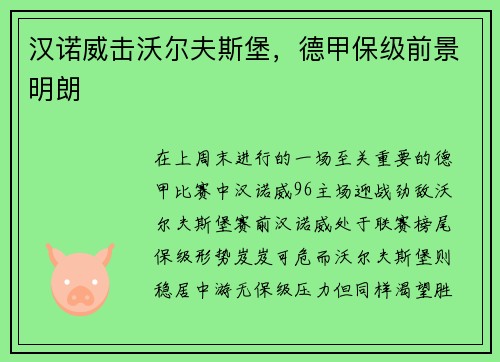 汉诺威击沃尔夫斯堡，德甲保级前景明朗